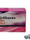 VITAL PLANTHERAPIE ECHINACEE ZINC+VIT C 60 GELULES